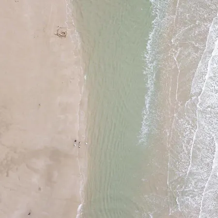 De Zandtaart Egmond aan Zee