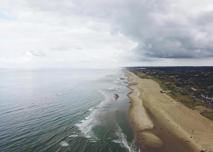 住宿加早餐酒店 De Zandtaart 4*