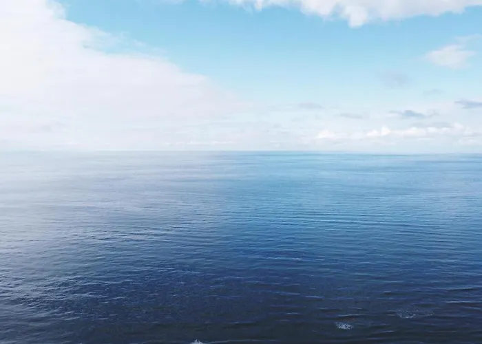 住宿加早餐酒店 De Zandtaart