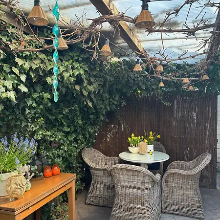 De Zandtaart Bed and breakfast
