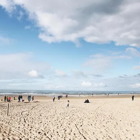 Bed and breakfast De Zandtaart 4*